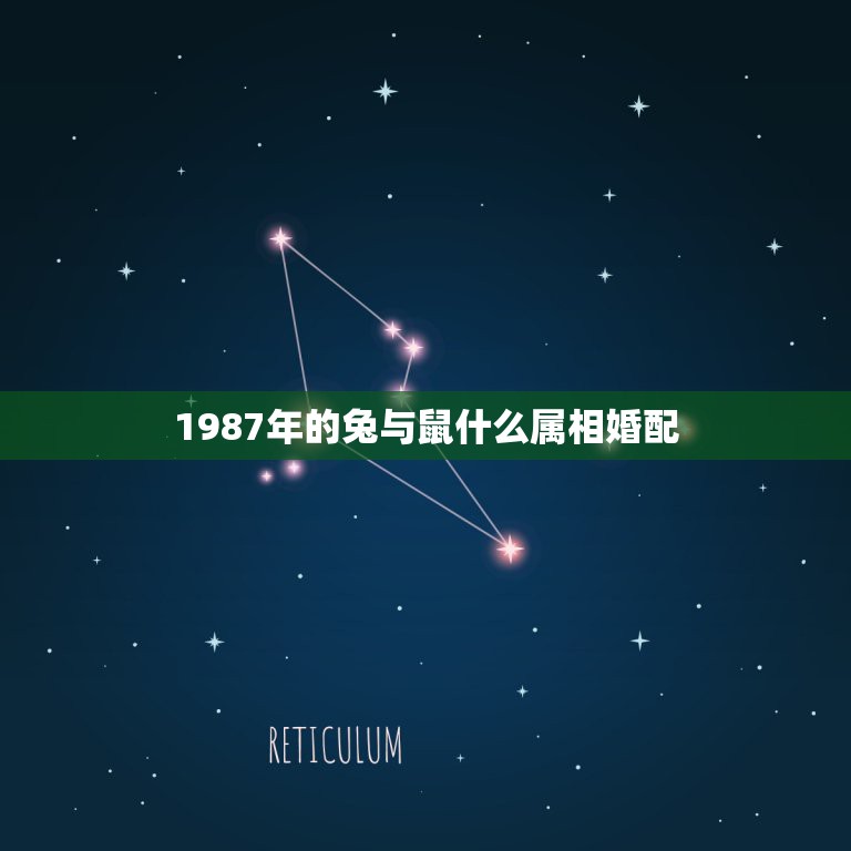 1987年的兔与鼠什么属相婚配，87年女兔的和什么属相相配