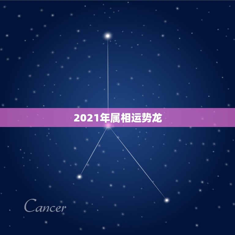 2021年属相运势龙，2021十二生肖的全年运势