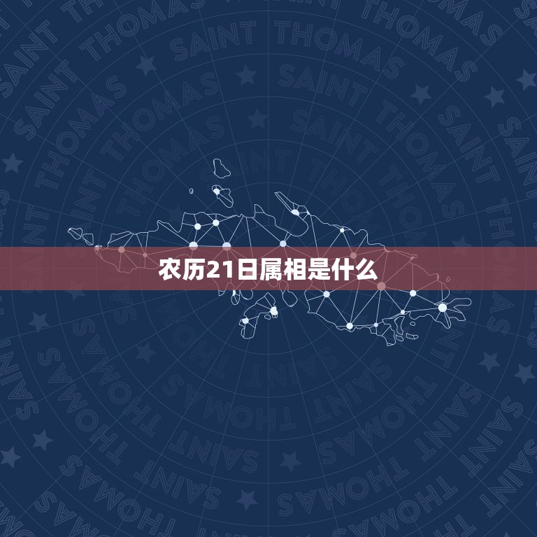 农历21日属相是什么，农历1990年1月21日 属什么生肖 什么星座