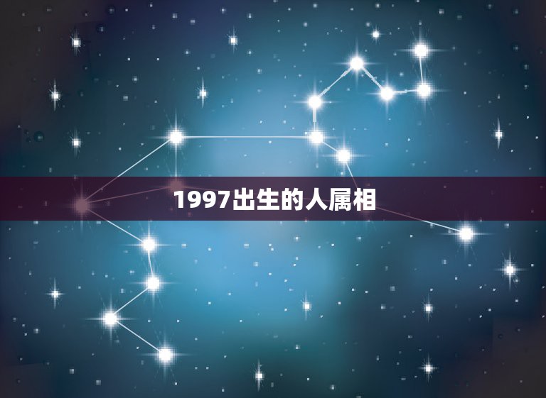 1997出生的人属相，1997年出生的人今年多大？属什么？