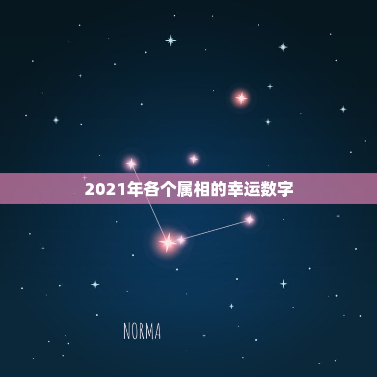 2021年各个属相的幸运数字，属相运势2021年生肖运程