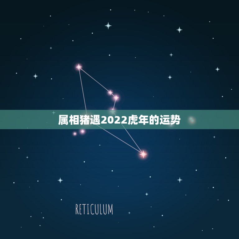 属相猪遇2022虎年的运势，属相虎猪合不合，一起相处会不会影响彼此的运