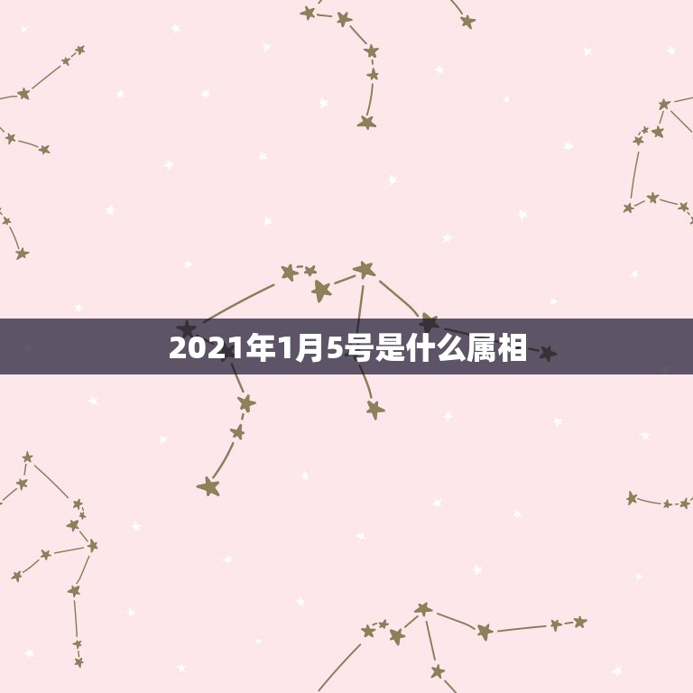 2021年1月5号是什么属相，十二生肖年份表2021