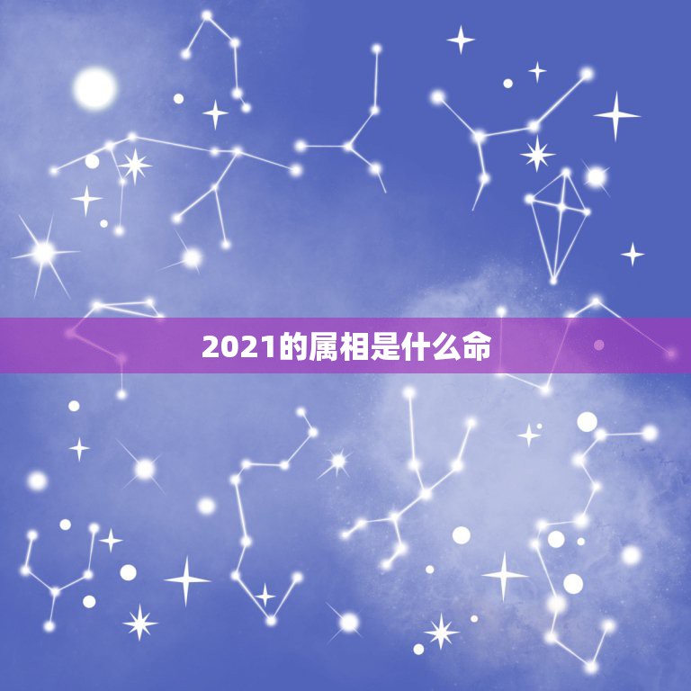 2021的属相是什么命，2021年什么命