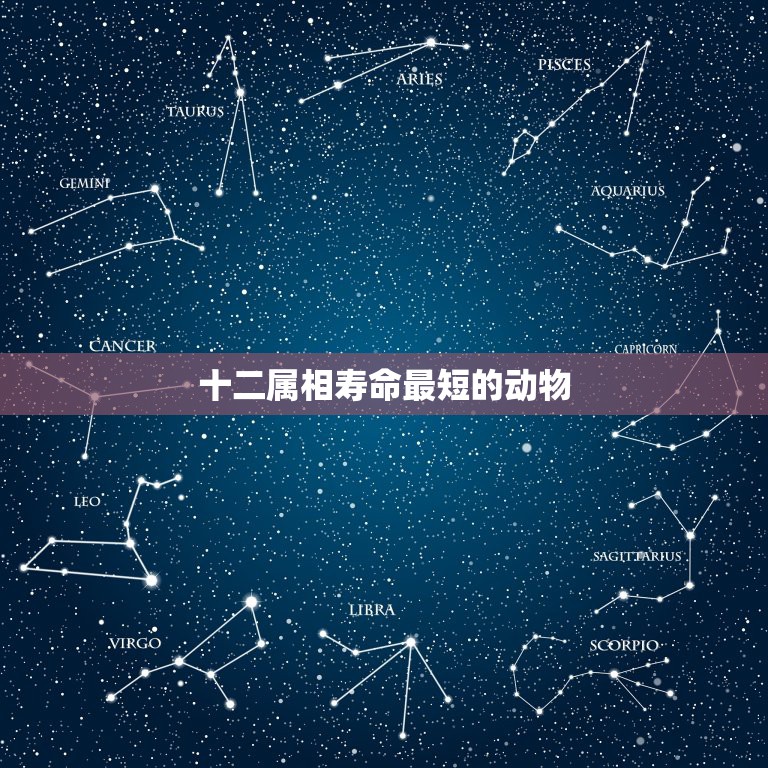 十二属相寿命最短的动物，十二生肖中。什么动物的寿命最短