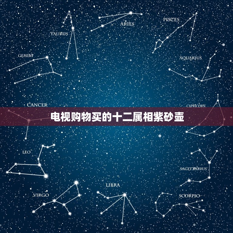 孙九群紫砂壶图片