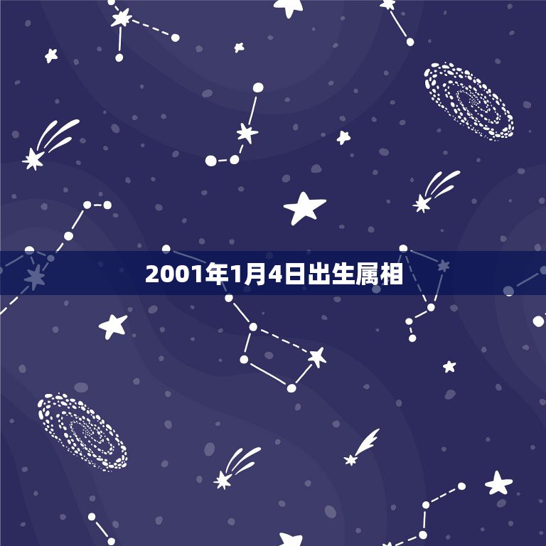 2001年1月4日出生属相，2003年阳历1月4日出生属什么