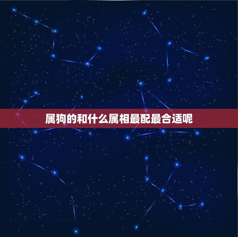 属狗的和什么属相最配最合适呢，属狗的和哪些属相最相配？