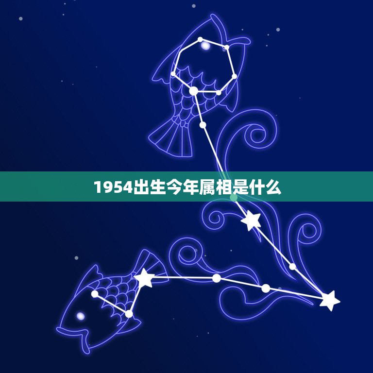 1954出生今年属相是什么，属马的1954年出生的今年多大？