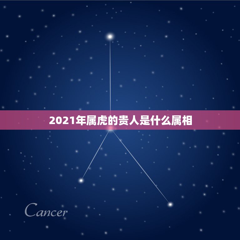 2021年属虎的贵人是什么属相，生肖马2021年不可错过的贵人