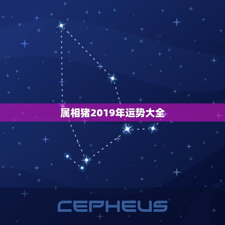 属相猪2019年运势大全，今年属猪运势