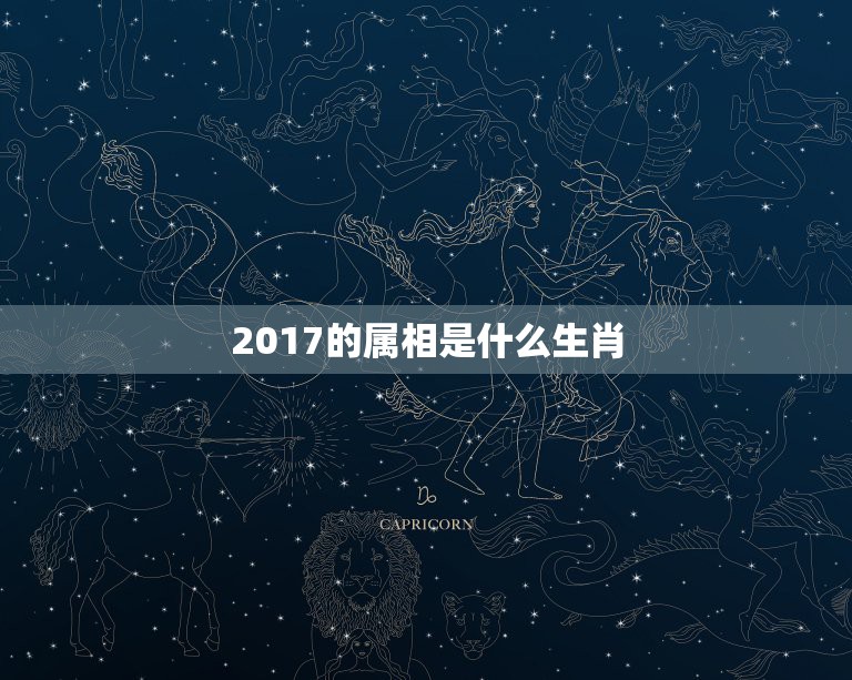 2017的属相是什么生肖，2017年是什么生肖年啊？