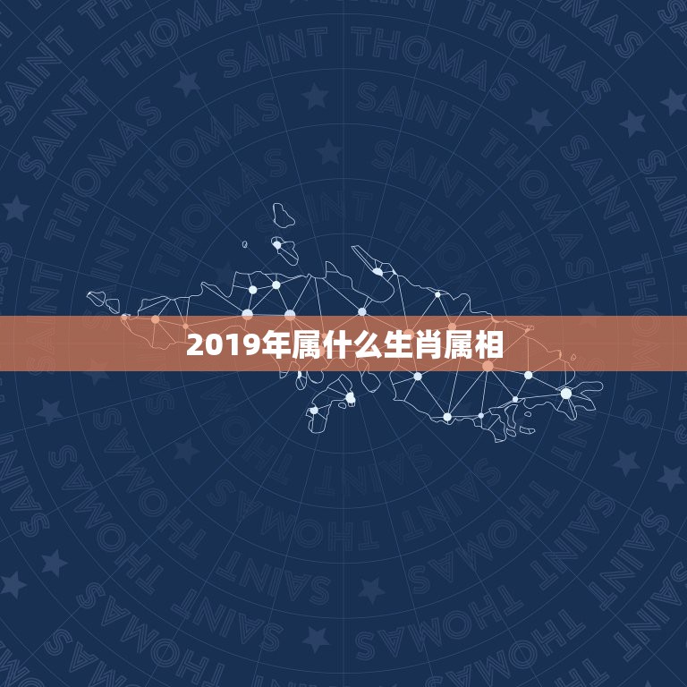 2019年属什么生肖属相,2019年是什么生肖年