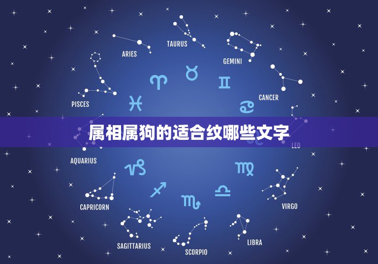 属相属狗的适合纹哪些文字，属狗的适合纹什么