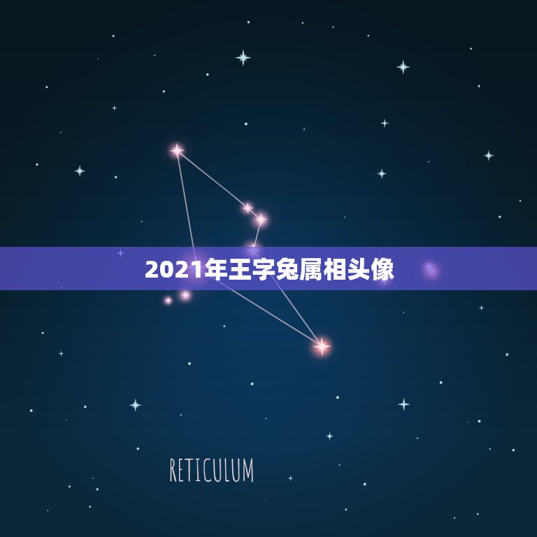 2021年王字兔属相头像，2019的生肖头像