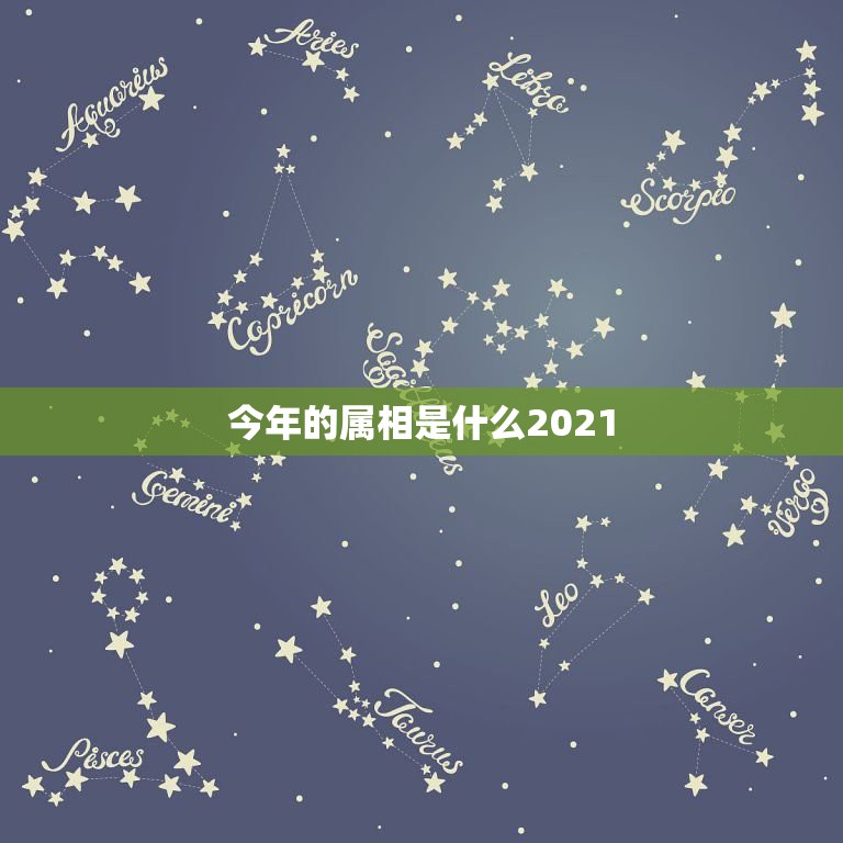 今年的属相是什么2021，2021年今天属相是什么