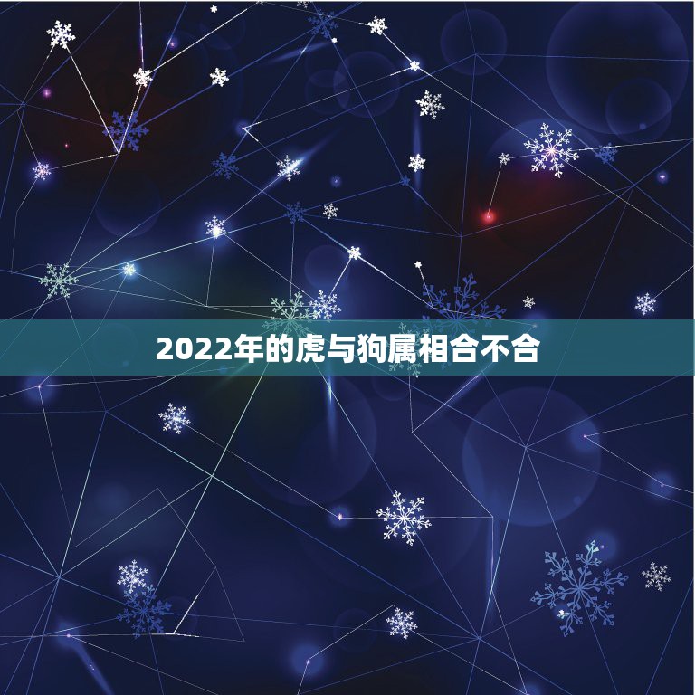 2022年的虎与狗属相合不合，82年狗狗与98年属虎出生的八字合不？