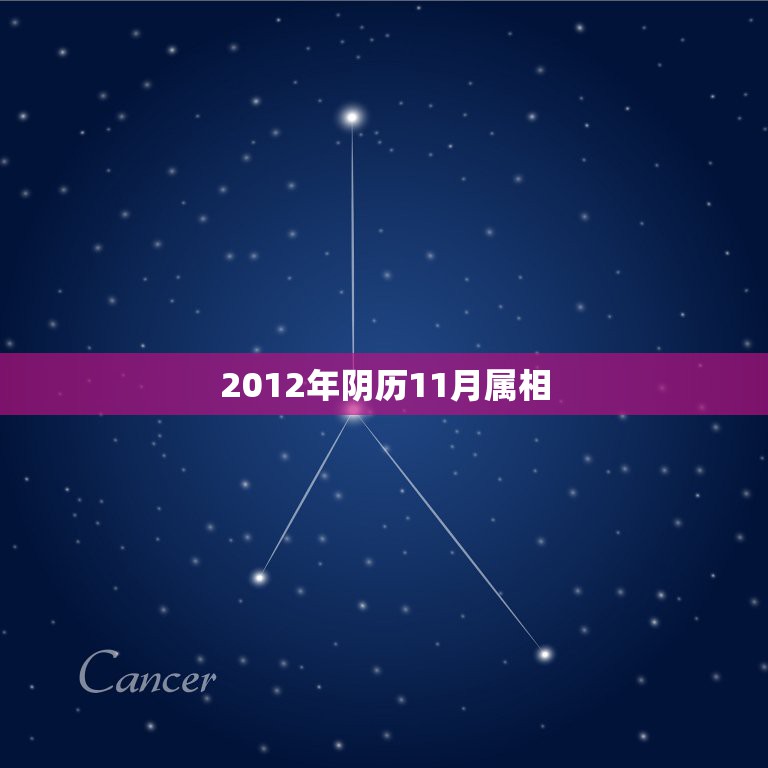 2012年阴历11月属相，今年农历十一月生的孩子属相怎样