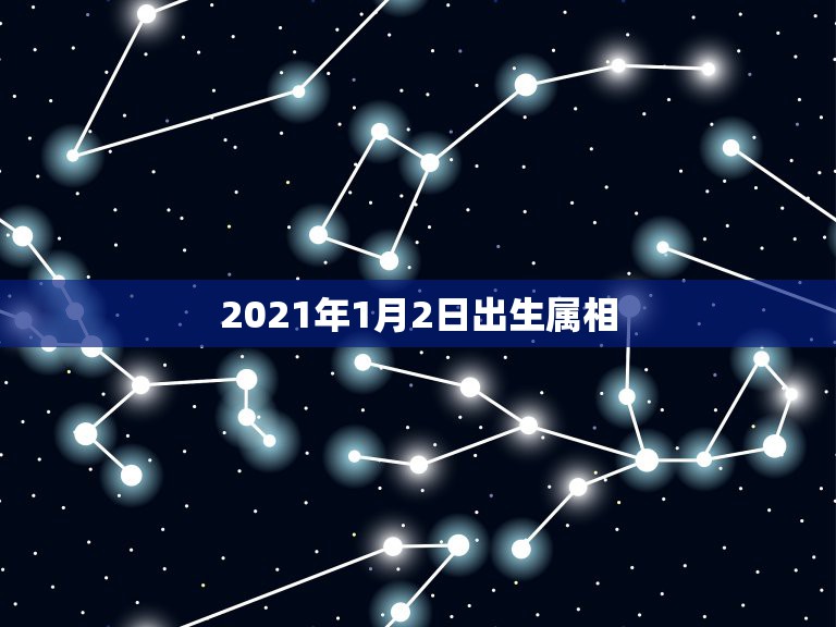 2021年1月2日出生属相，2021年一月出生的鼠怎样