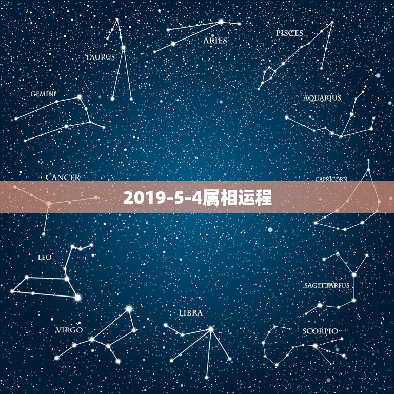 2019-5-4属相运程，2021生肖运势大解析 十二生肖