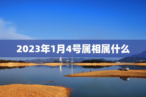 2023年1月4号属相属什么，2021年1月4日是属什么？