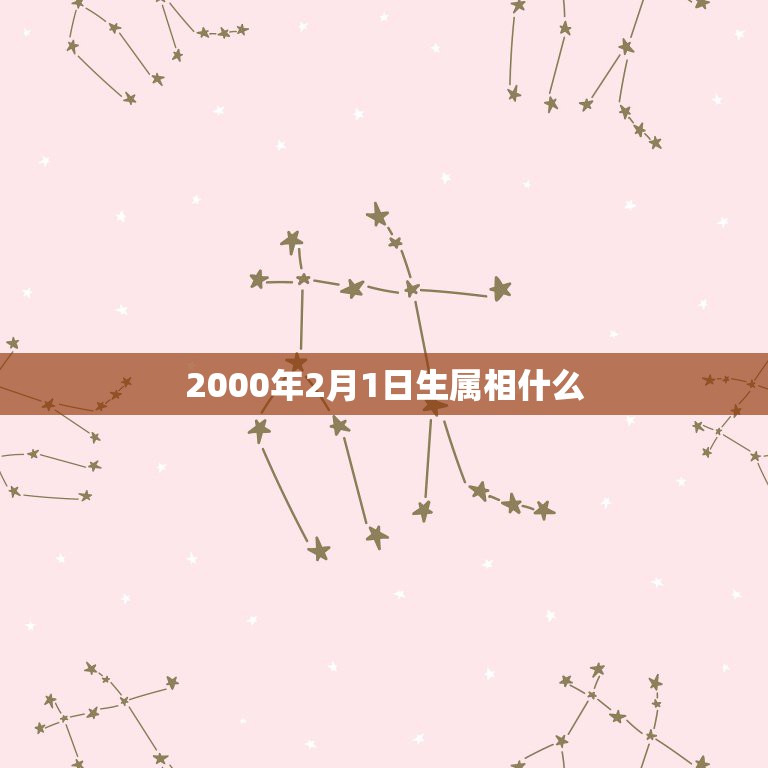 2000年2月1日生属相什么，2000年2月1日出生属兔的今年多大了？