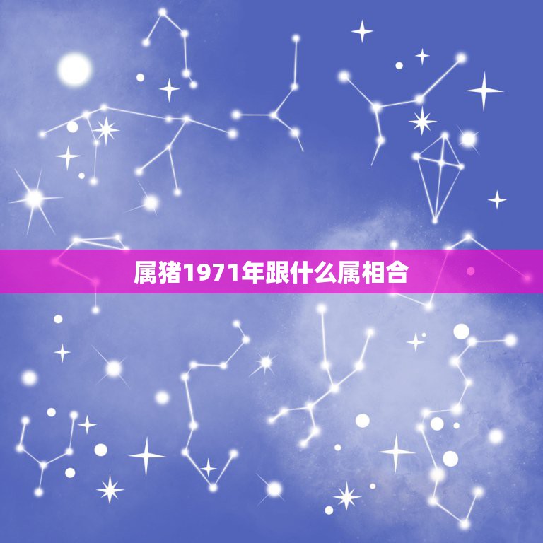 属猪1971年跟什么属相合，1971属猪的人与什么属相的人为最佳合作伙