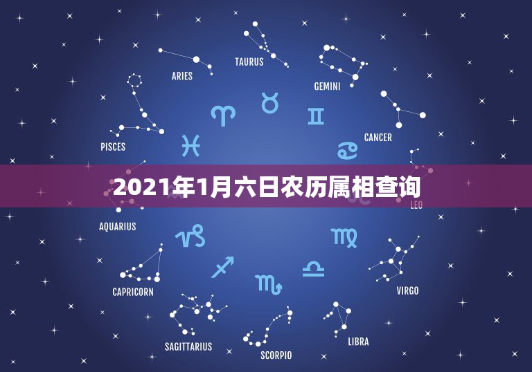 2021年1月六日农历属相查询，2021年1月1日是什么生肖日