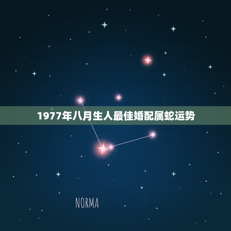 1977年八月生人最佳婚配属蛇运势，1977年7月生属蛇的2009年整