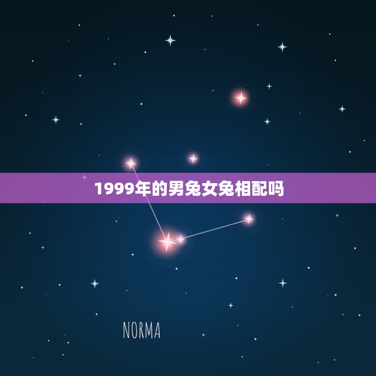 1999年的男兔女兔相配吗，请问99年禹兔的和97年禹鼠相配吗