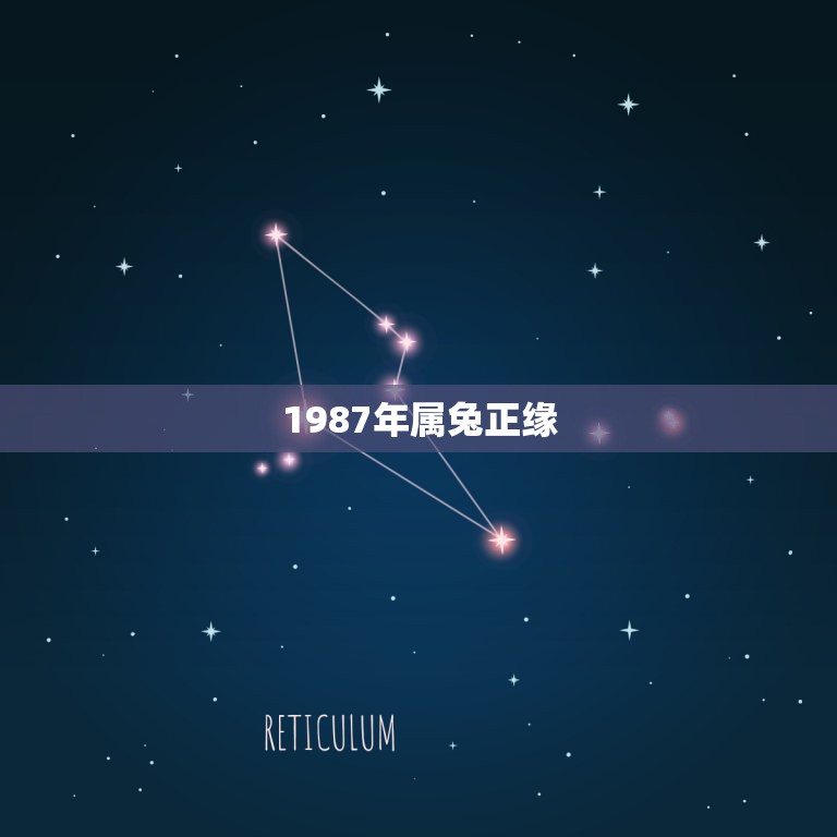 1987年属兔正缘，1987年属兔的命运和婚姻怎么样？