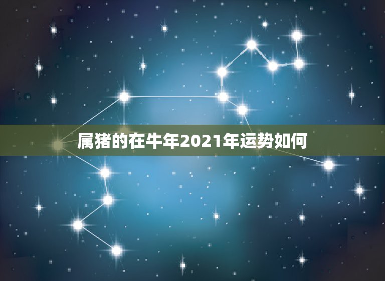 属猪的在牛年2021年运势如何，2021年属猪的全年运程