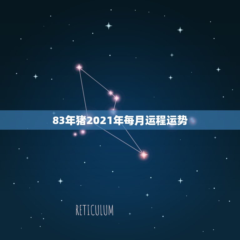 83年猪2021年每月运程运势，83年属猪男2021年下半年运势？