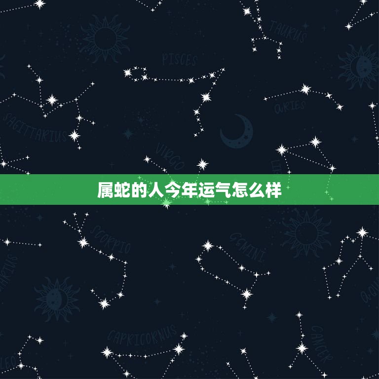 属蛇的人今年运气怎么样，属蛇的人今年财运怎么样？