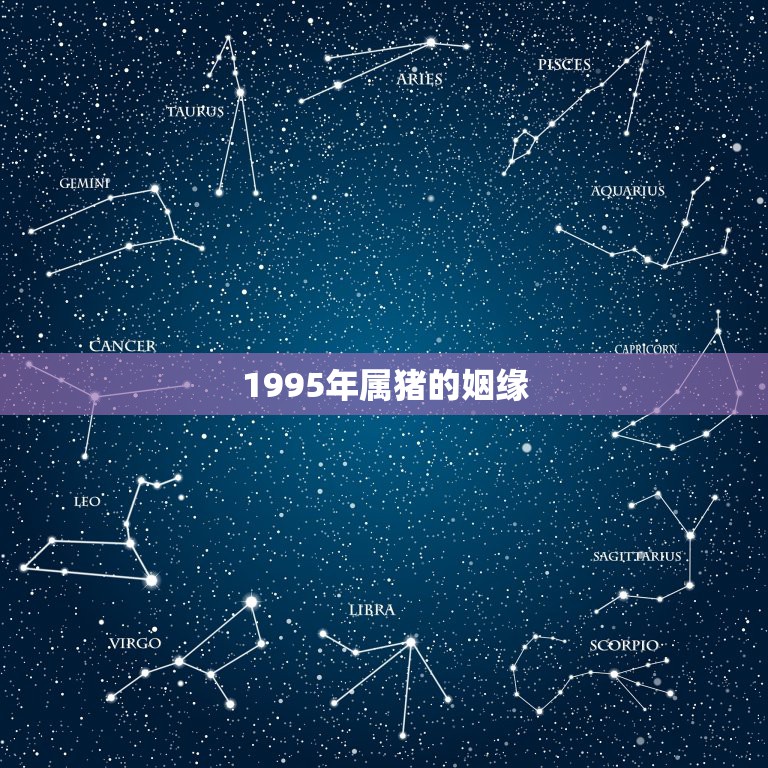 1995年属猪的姻缘，95属猪姻缘何时到