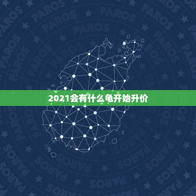 2021会有什么龟开始升价，2021年鳄龟苗多少钱一只