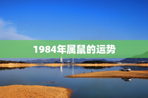 1984年属鼠的运势，1984年出生的人2010年的运程