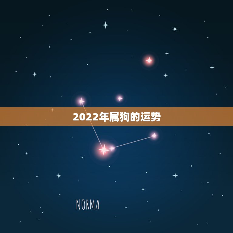 2022年属狗的运势，2021年属狗人的全年运势