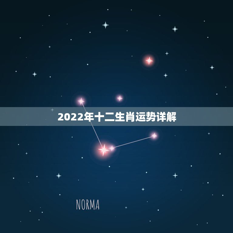 2022年十二生肖运势详解，2022年运势最好的生肖