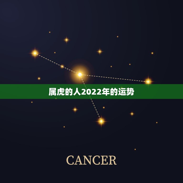 属虎的人2022年的运势，属虎人2021年运势及运程每月运程