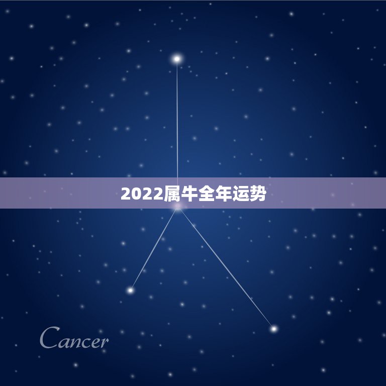 2022属牛全年运势，2022年属牛人的全年运势