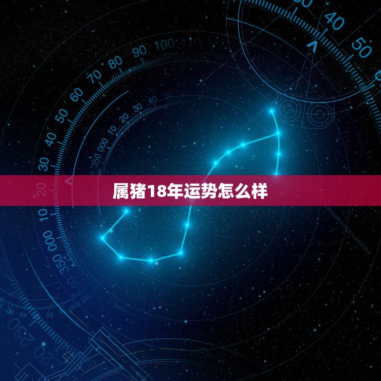 属猪18年运势怎么样，属猪人18年运势