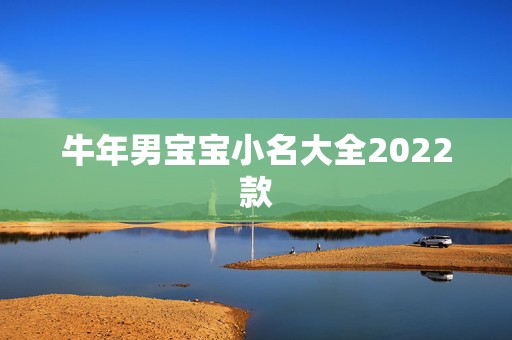 牛年男宝宝小名大全2022款，宝宝小名大全2022 洋气