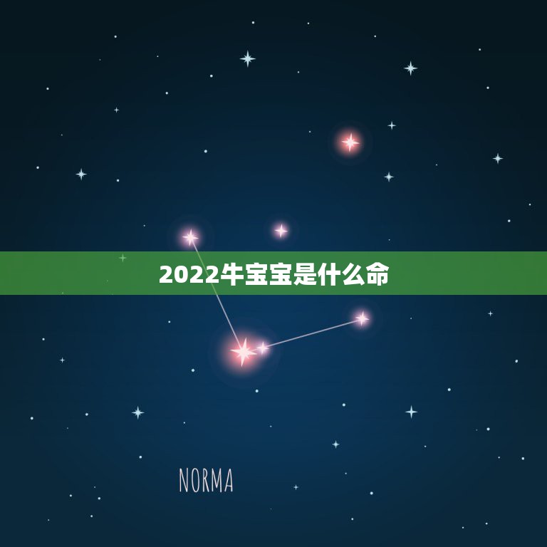 2022牛宝宝是什么命，2022阳历一月份的牛宝宝