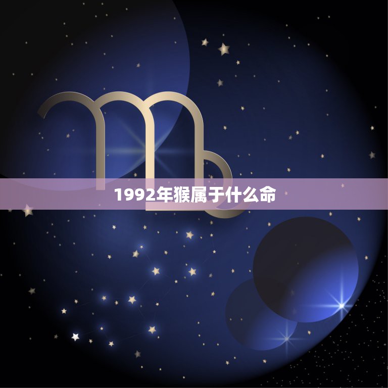 1992年猴属于什么命，1992年属于什么命