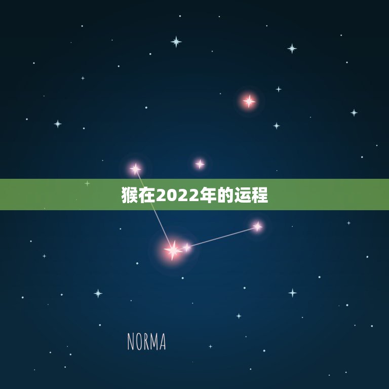 猴在2022年的运程，2022年猴人高考运