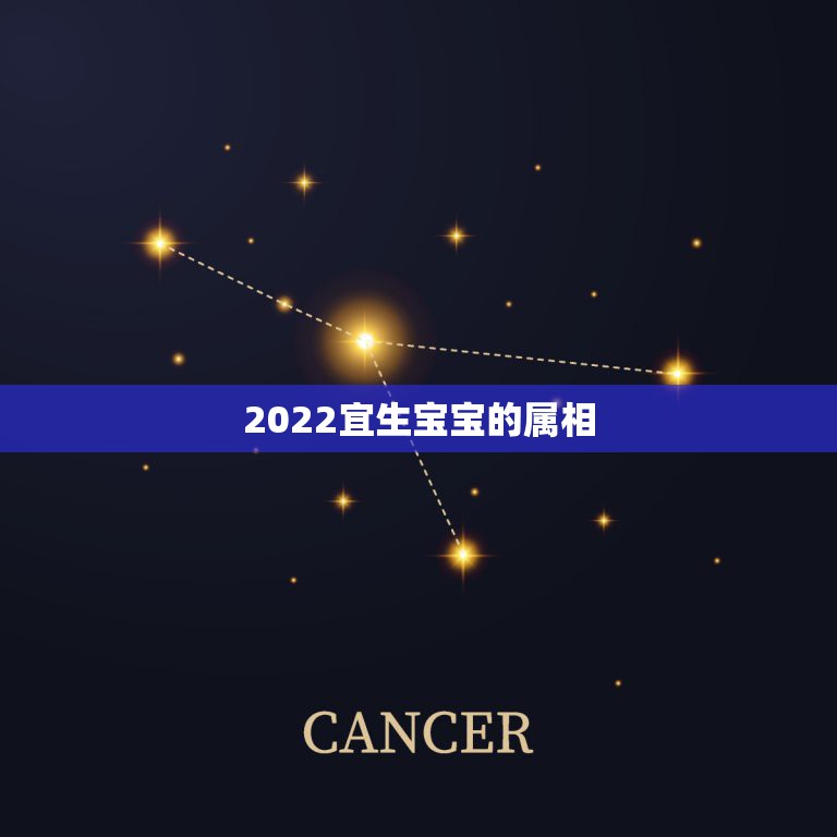 2022宜生宝宝的属相，2022年有添丁之喜的属相