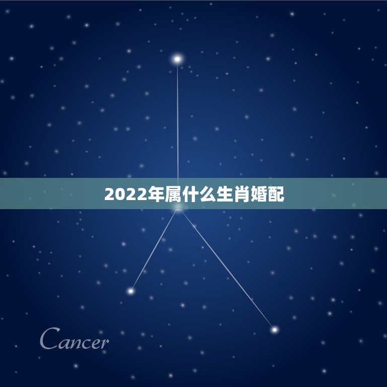 2022年属什么生肖婚配，2022年运势更好的生肖