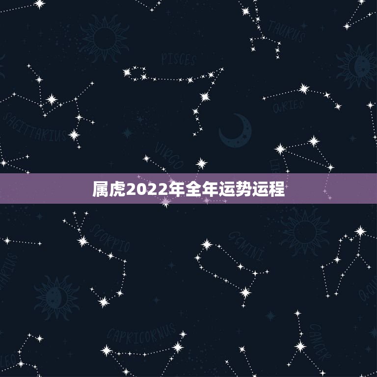 属虎2022年全年运势运程，2022 年生肖狗全年运程