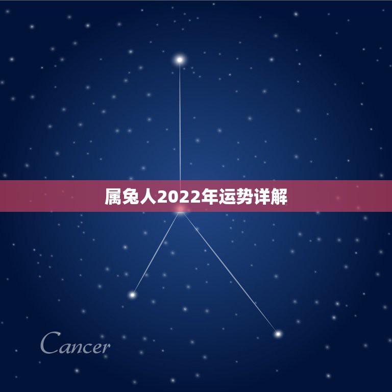 属兔人2022年运势详解，属兔人2022 年每月运势